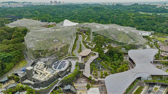  Bird Paradise set to open in Singapore, adds to growing list of attractions for visitors